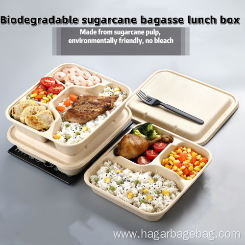 Biodegradable Sugarcane Pulp Tableware Container